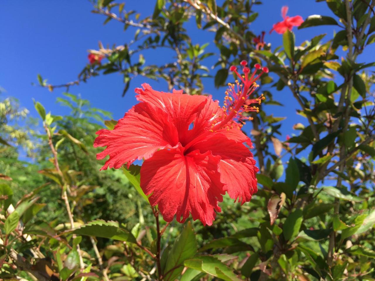 Yoisama Sunrise Beach House Ishigaki  Extérieur photo